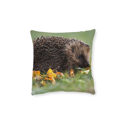 Hedgehog 2