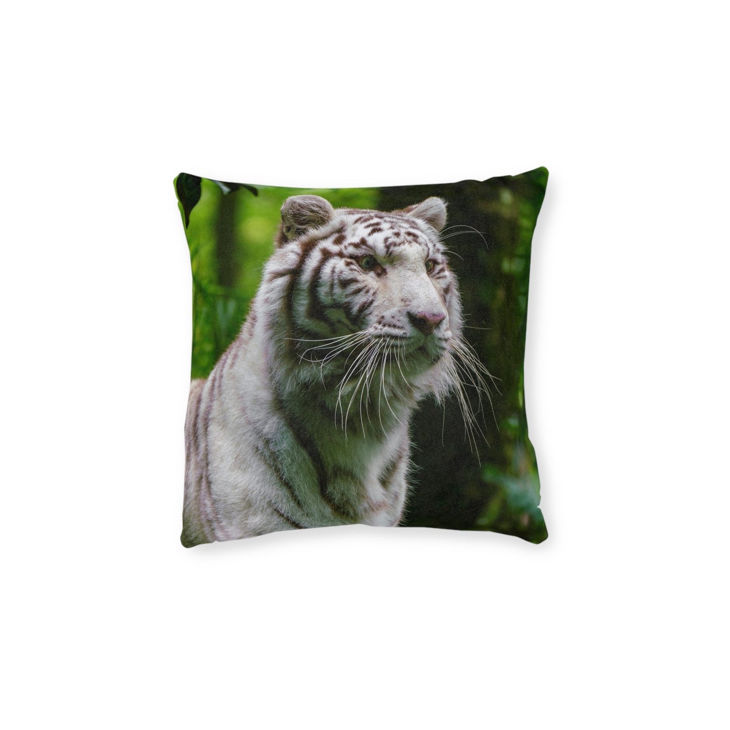 White Tiger