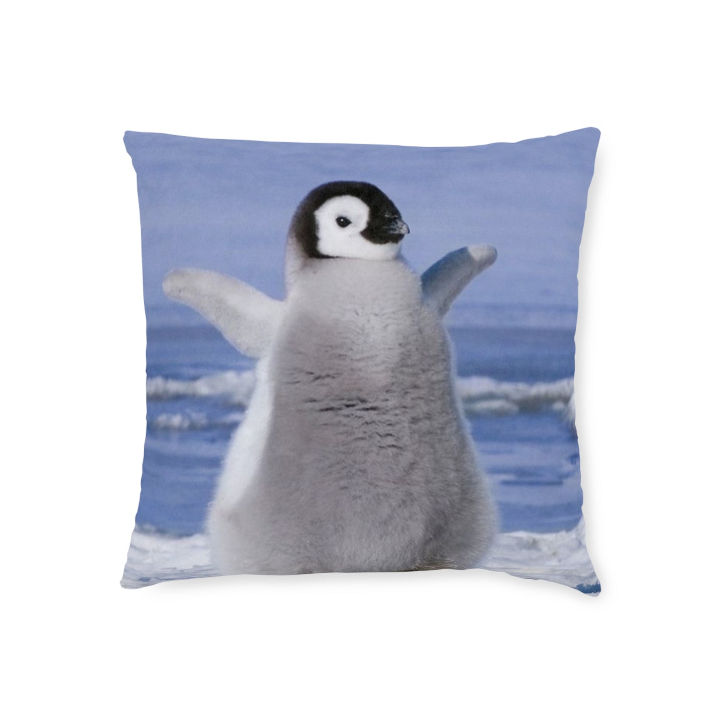 Baby Penguin