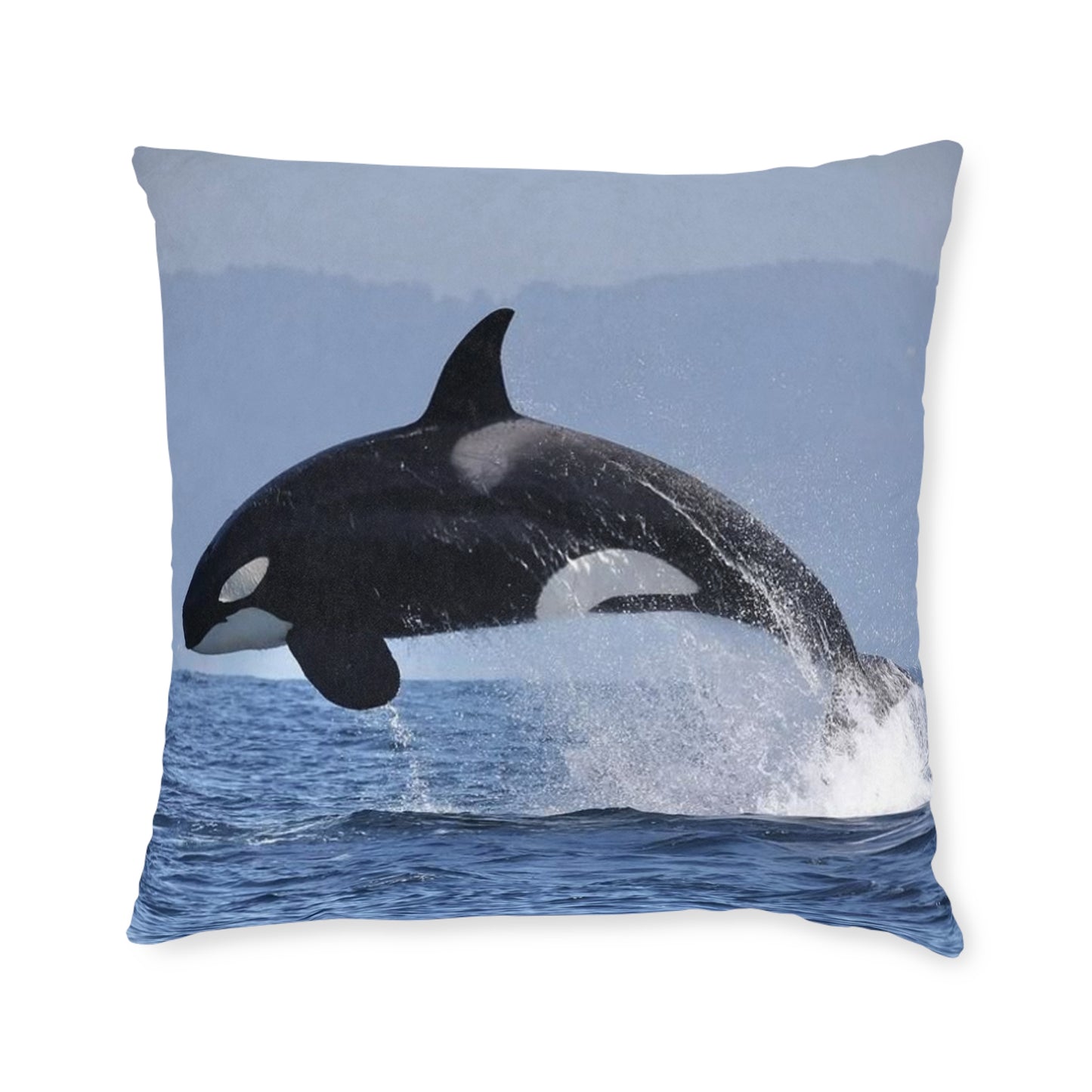 Orca 2