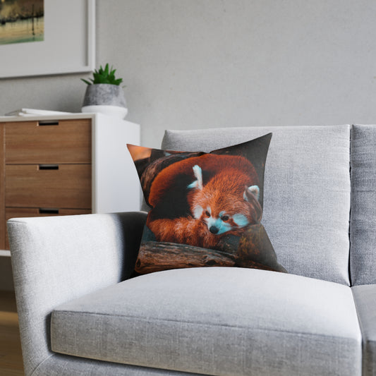 Red Panda