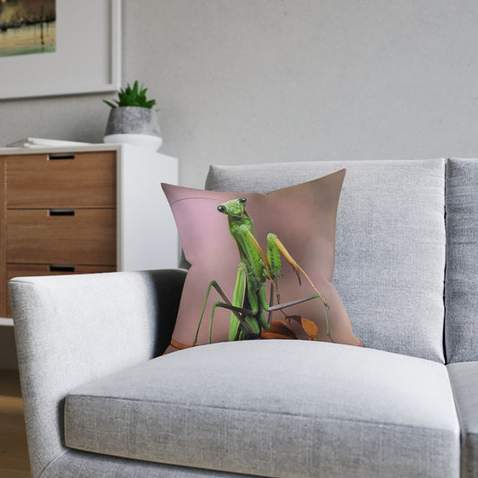 Praying Mantis