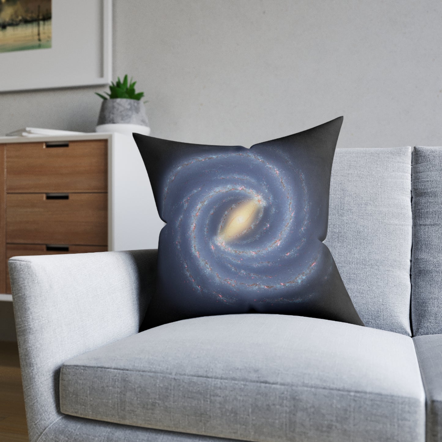 The Milky Way Galaxy