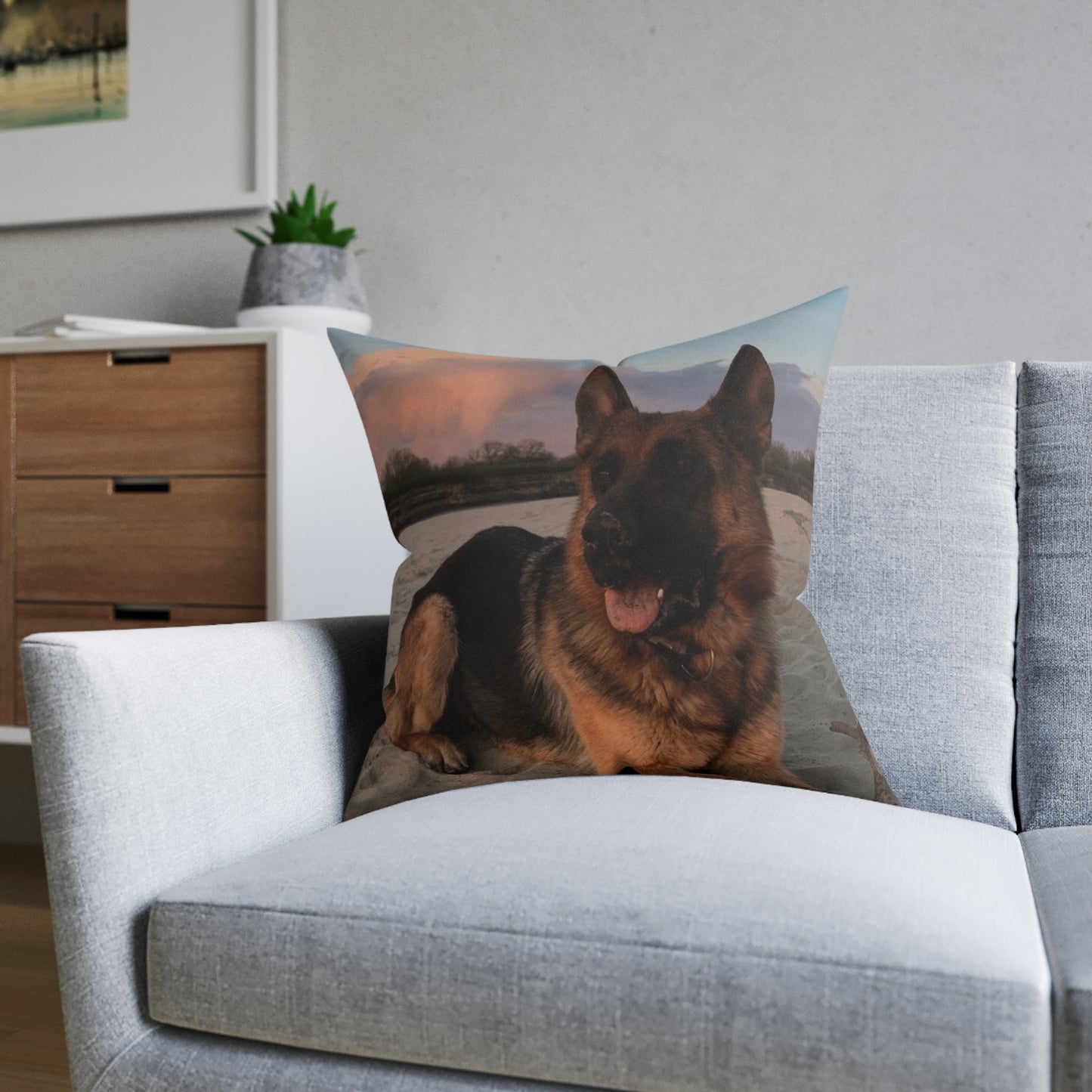 German Shepherd Dog