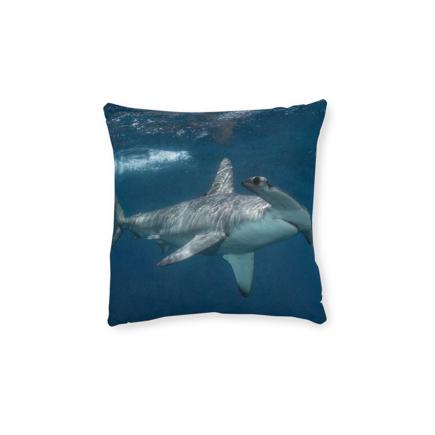 Hammerhead Shark