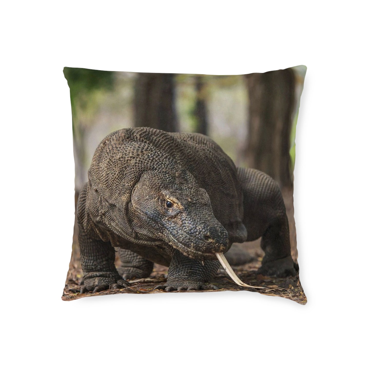 Komodo Dragon 2