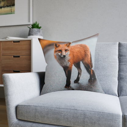 Fox