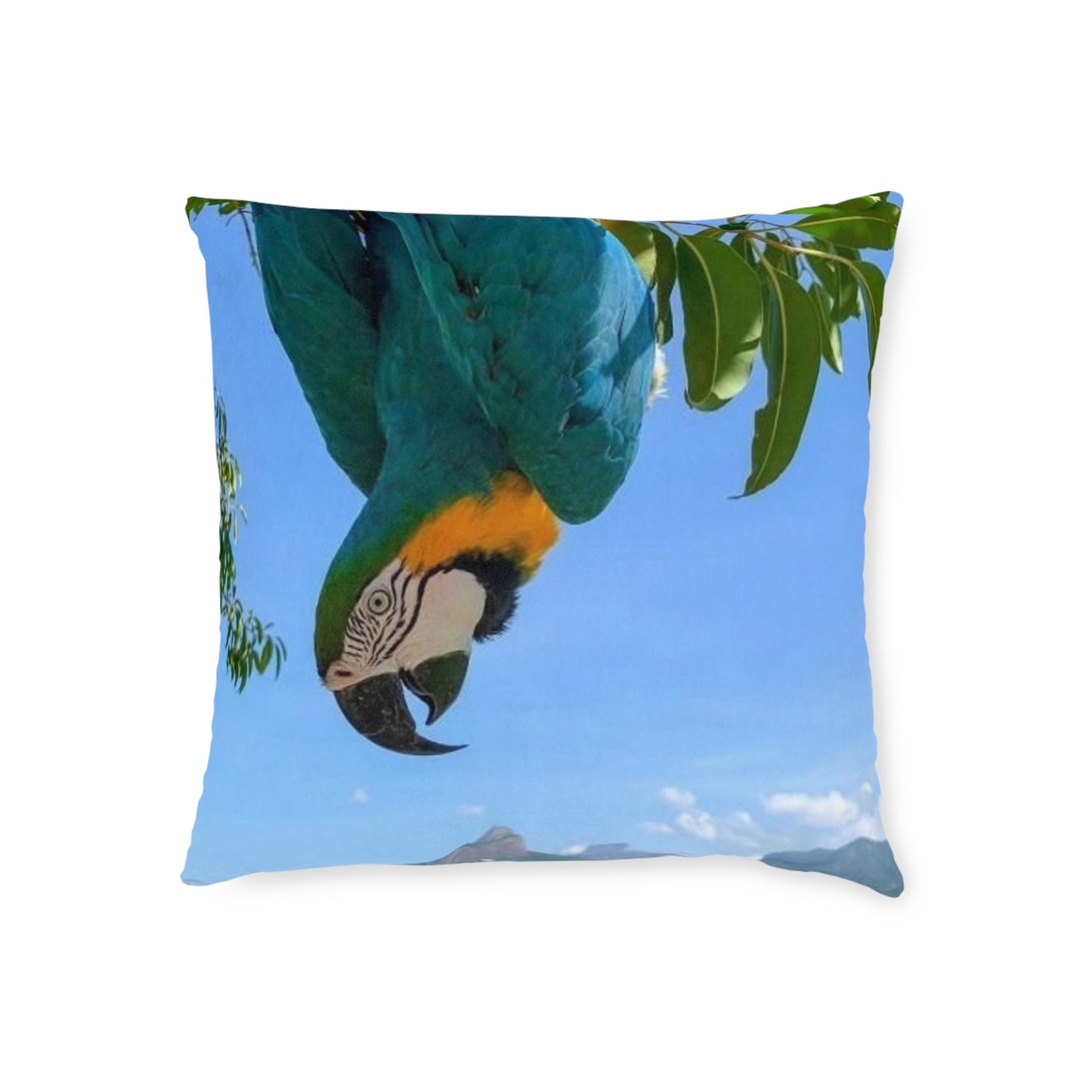 Parrot Blue