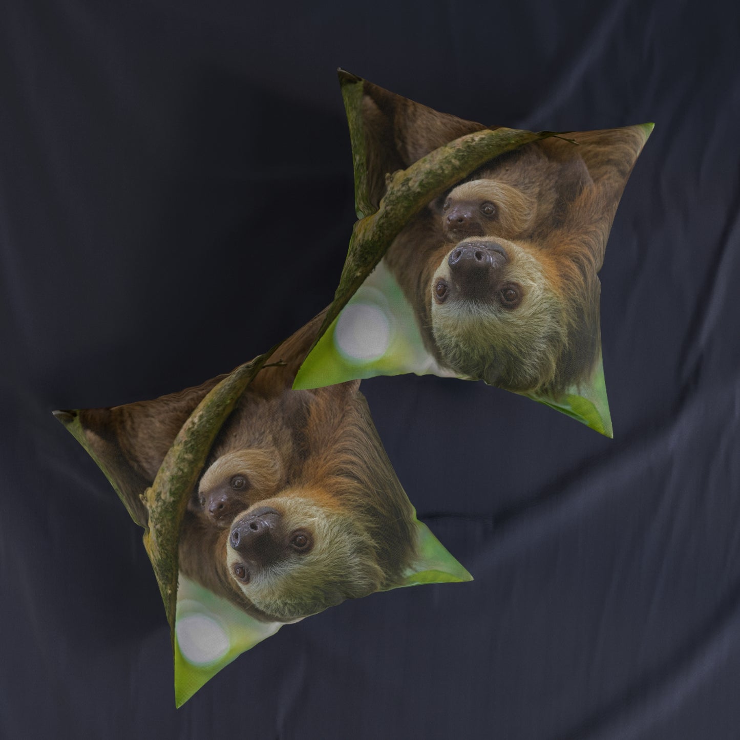 Sloth