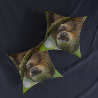 Sloth