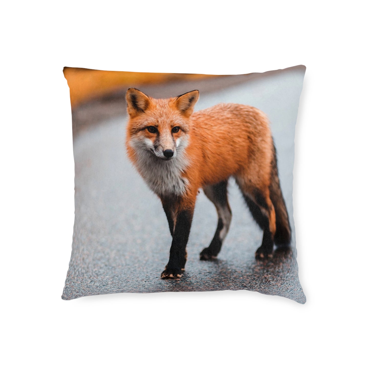 Fox