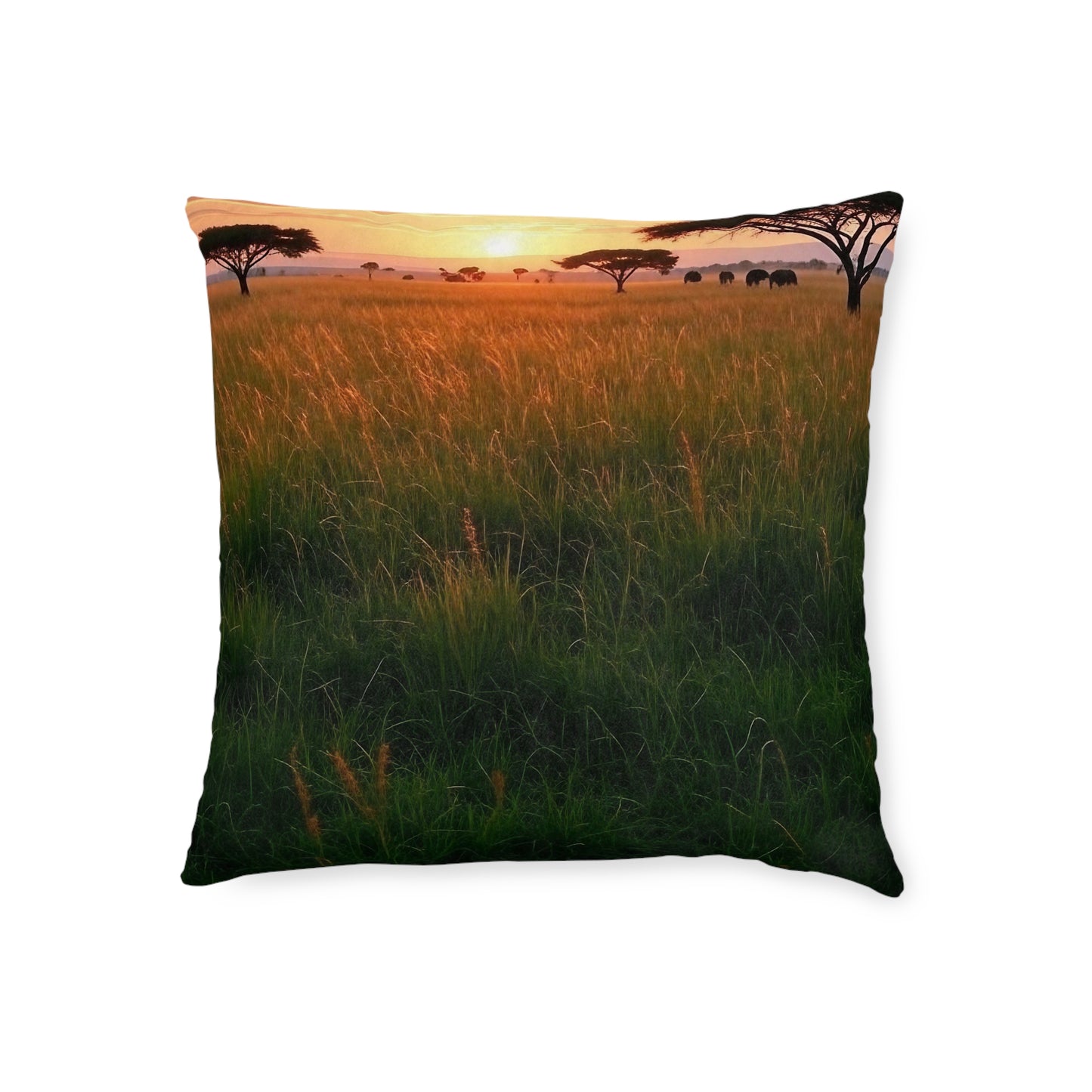 Savanna