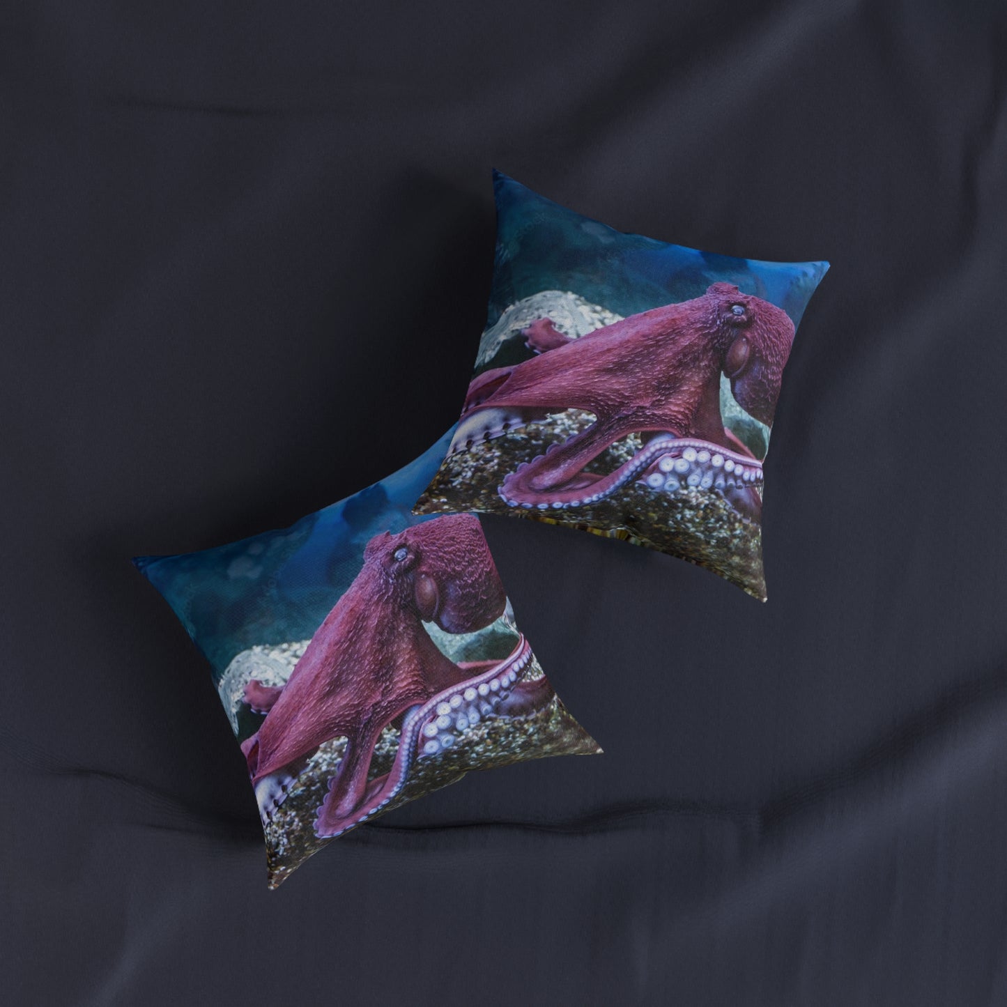 Octopus