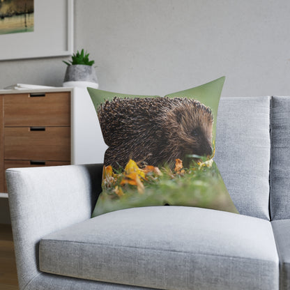 Hedgehog 2