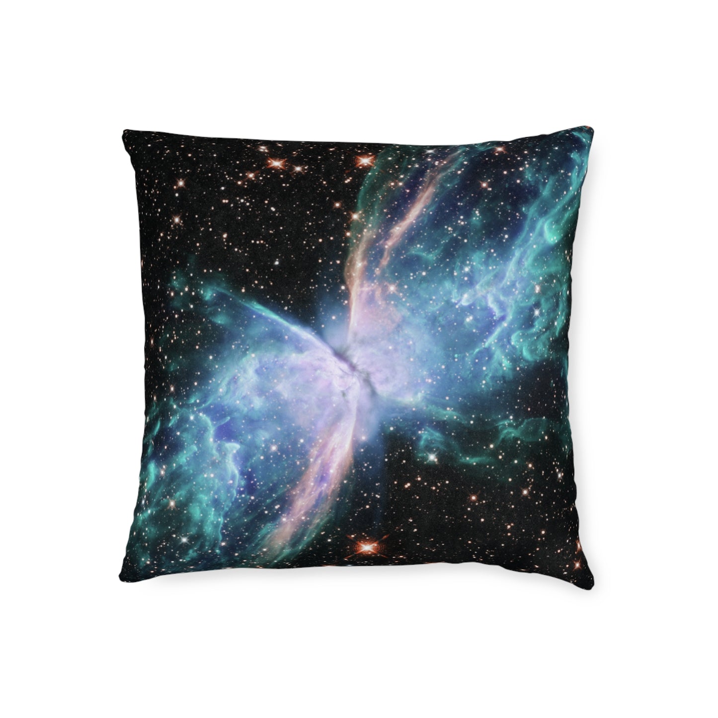 The Butterfly Nebula