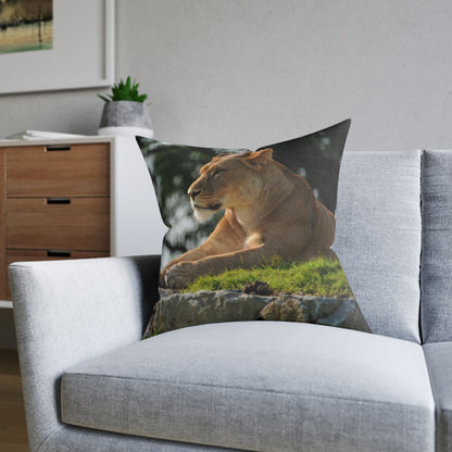 Lion Female