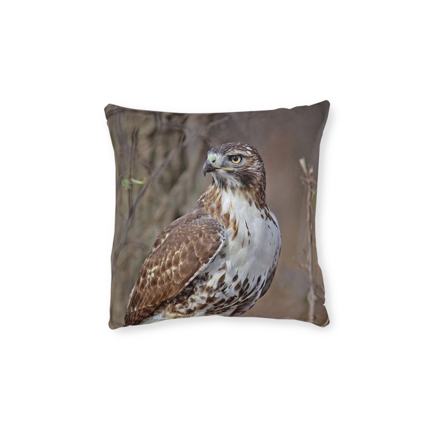 Hawk 2