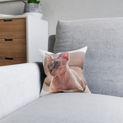 Hairless Cat