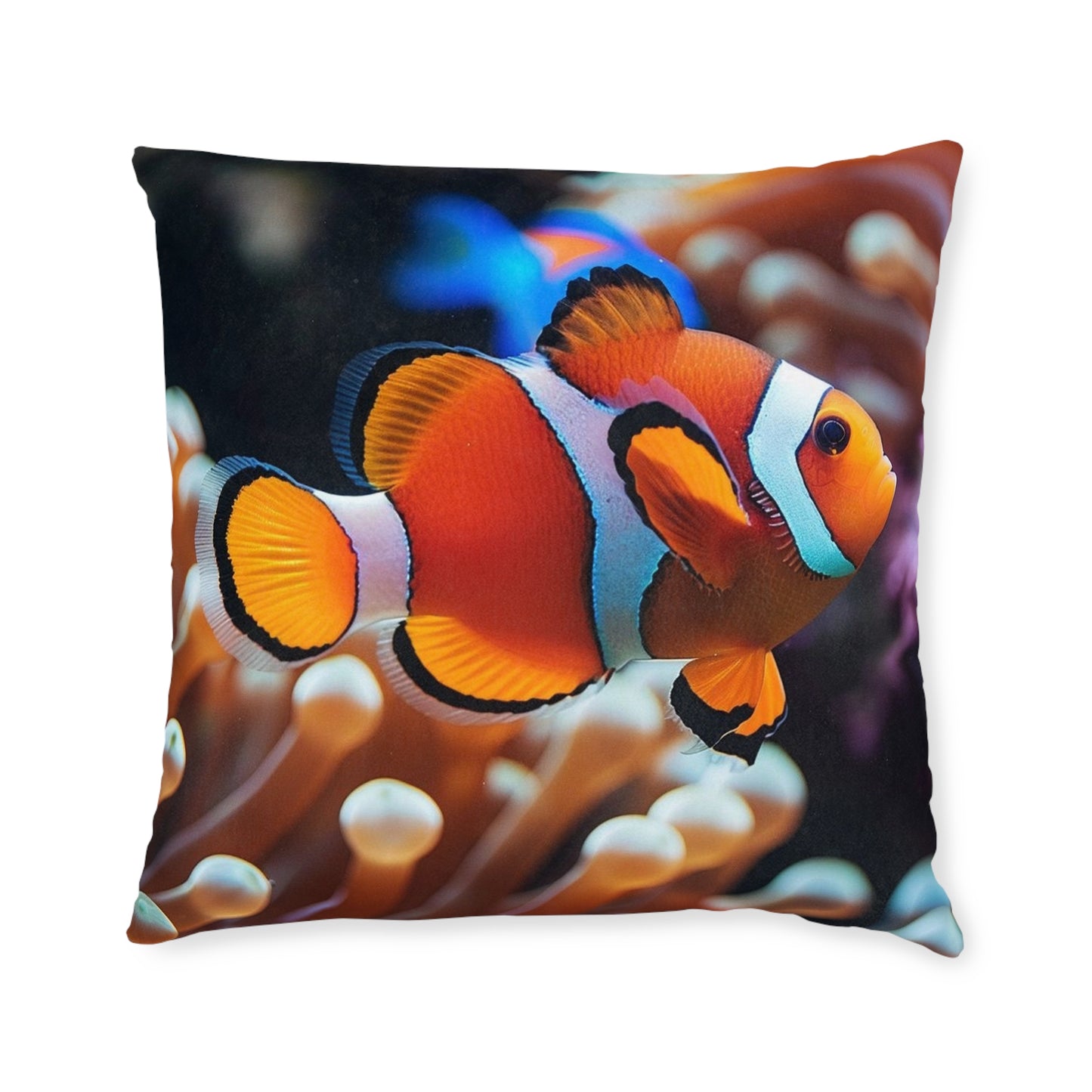 Clownfish