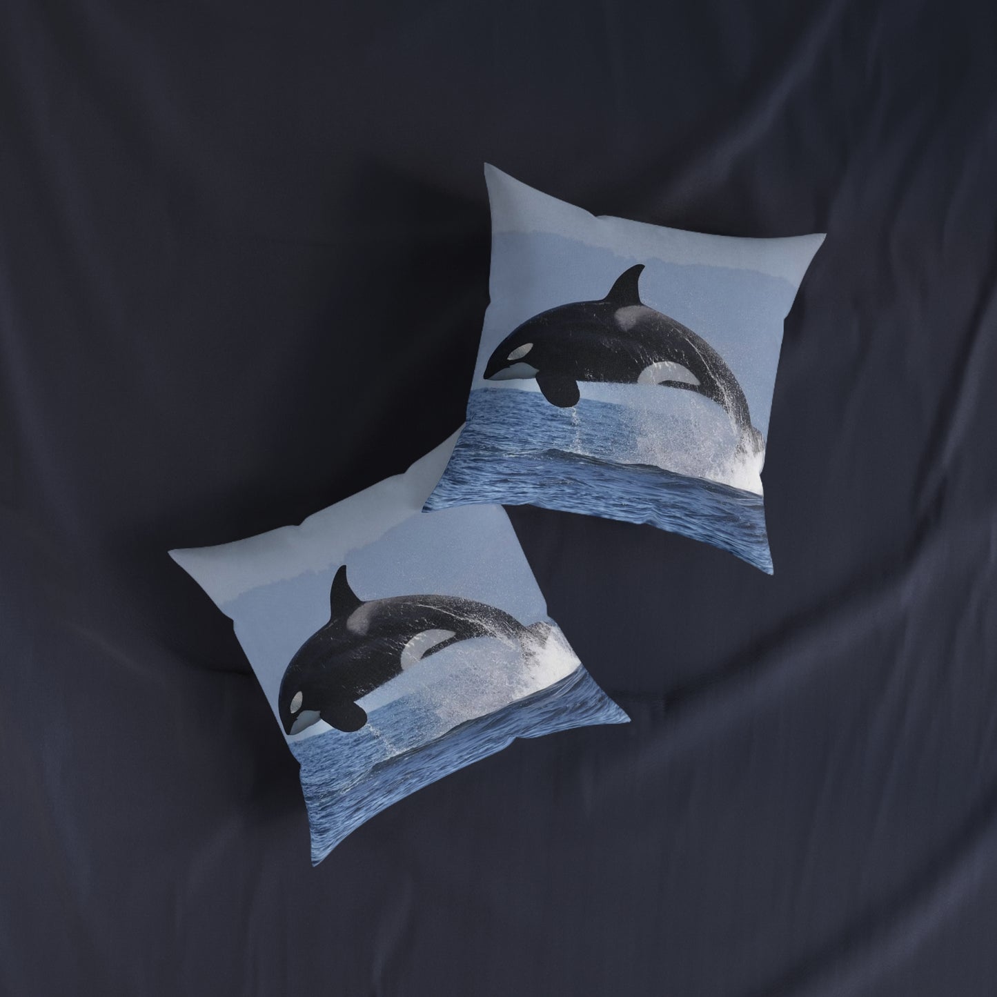 Orca 2