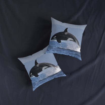 Orca 2