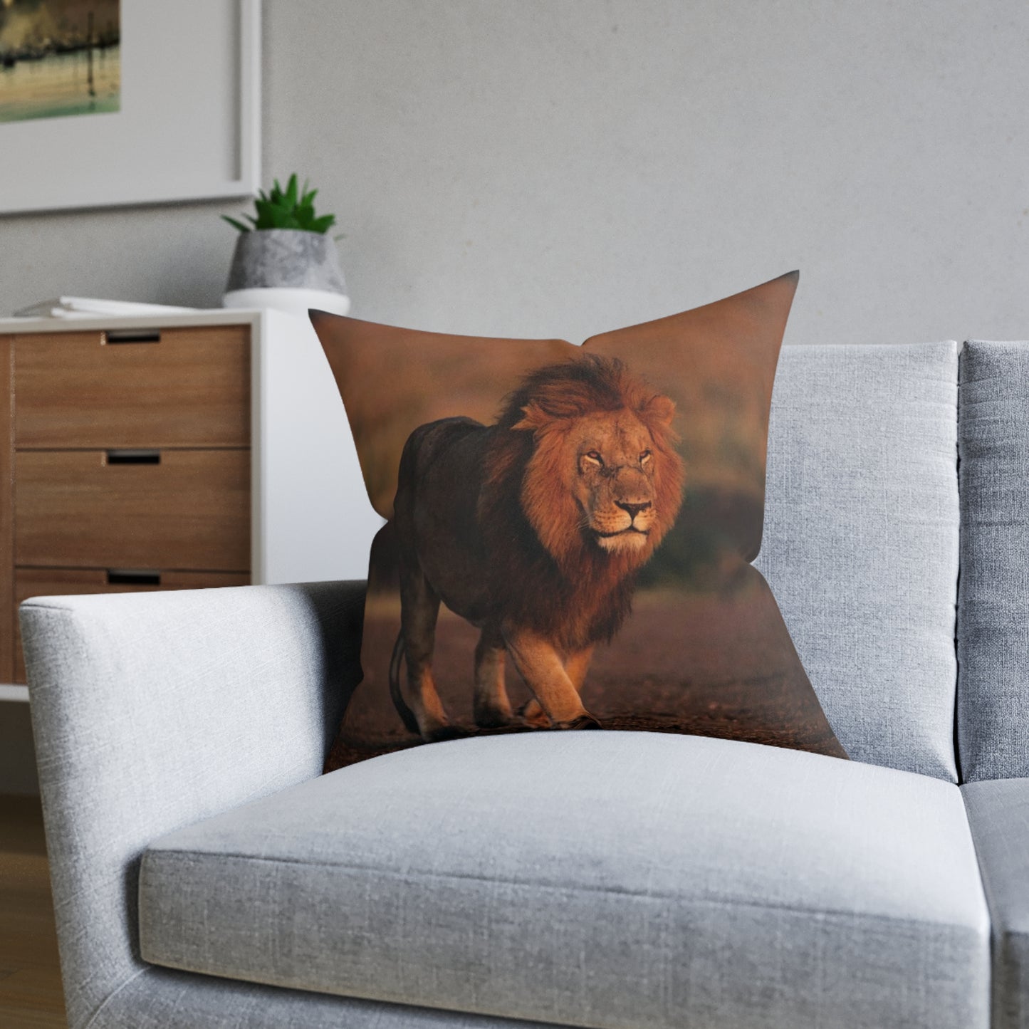 Lion Male