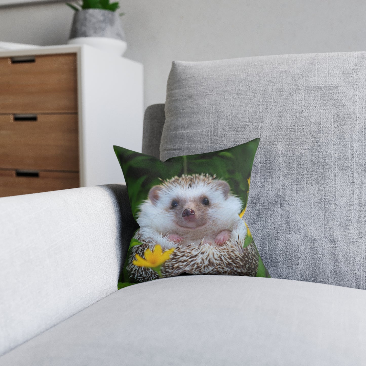 Hedgehog