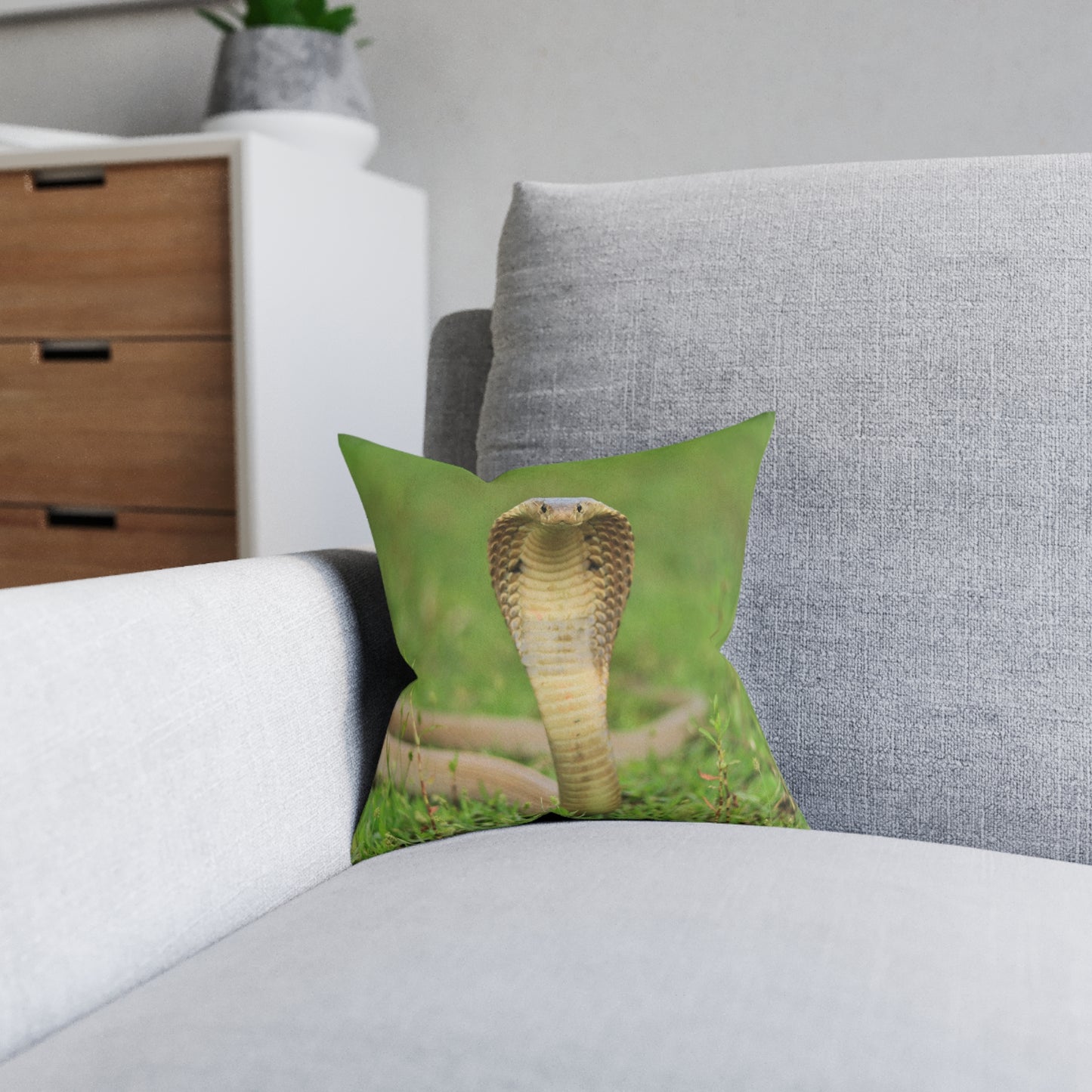 Cobra Snake