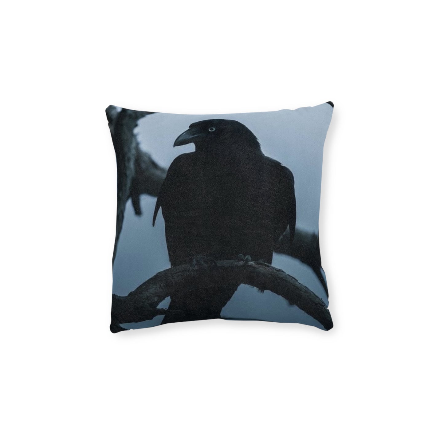 Raven 2