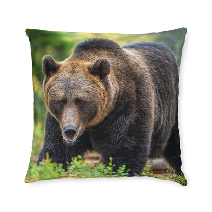 Brown Bear