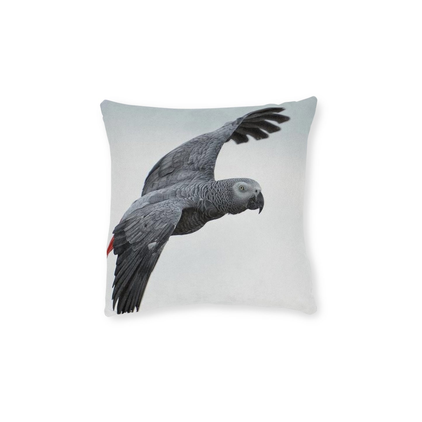 Parrot African Grey