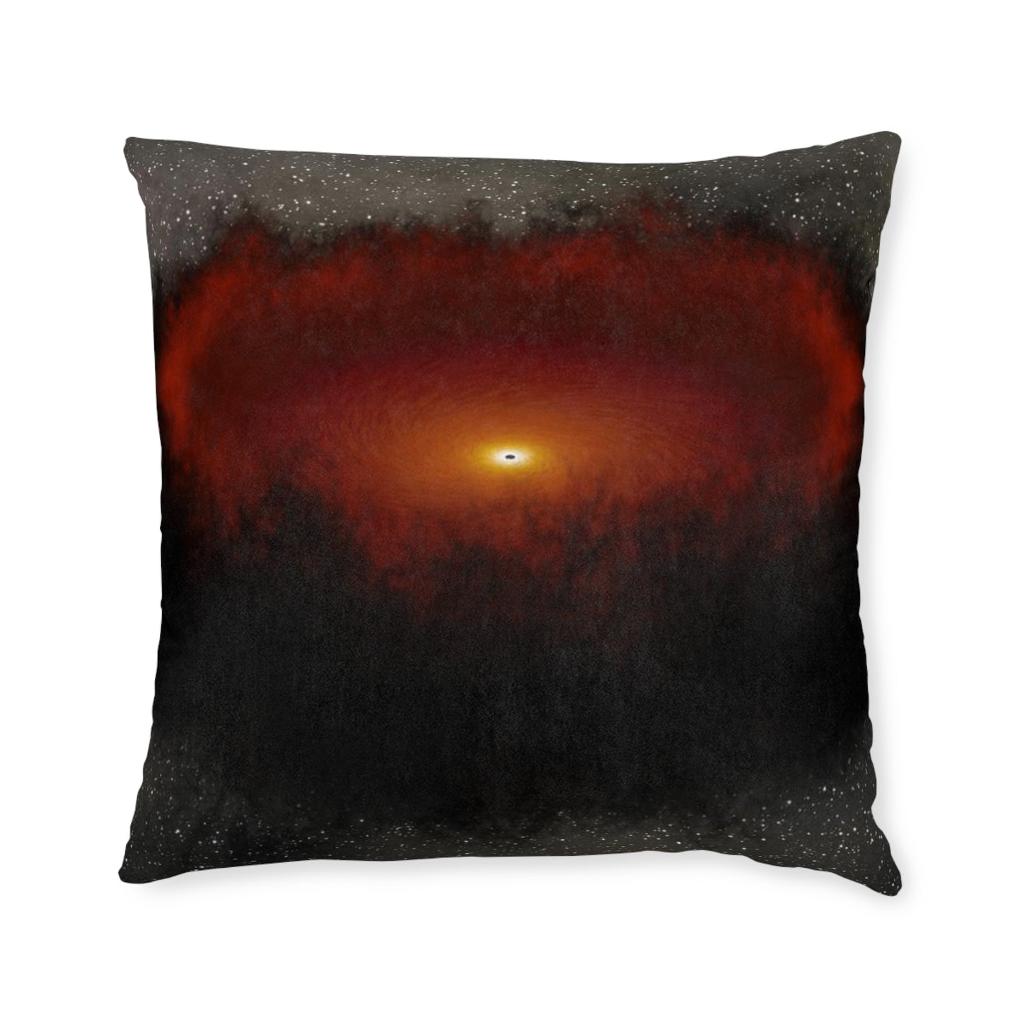 Black Hole Echo Mapping