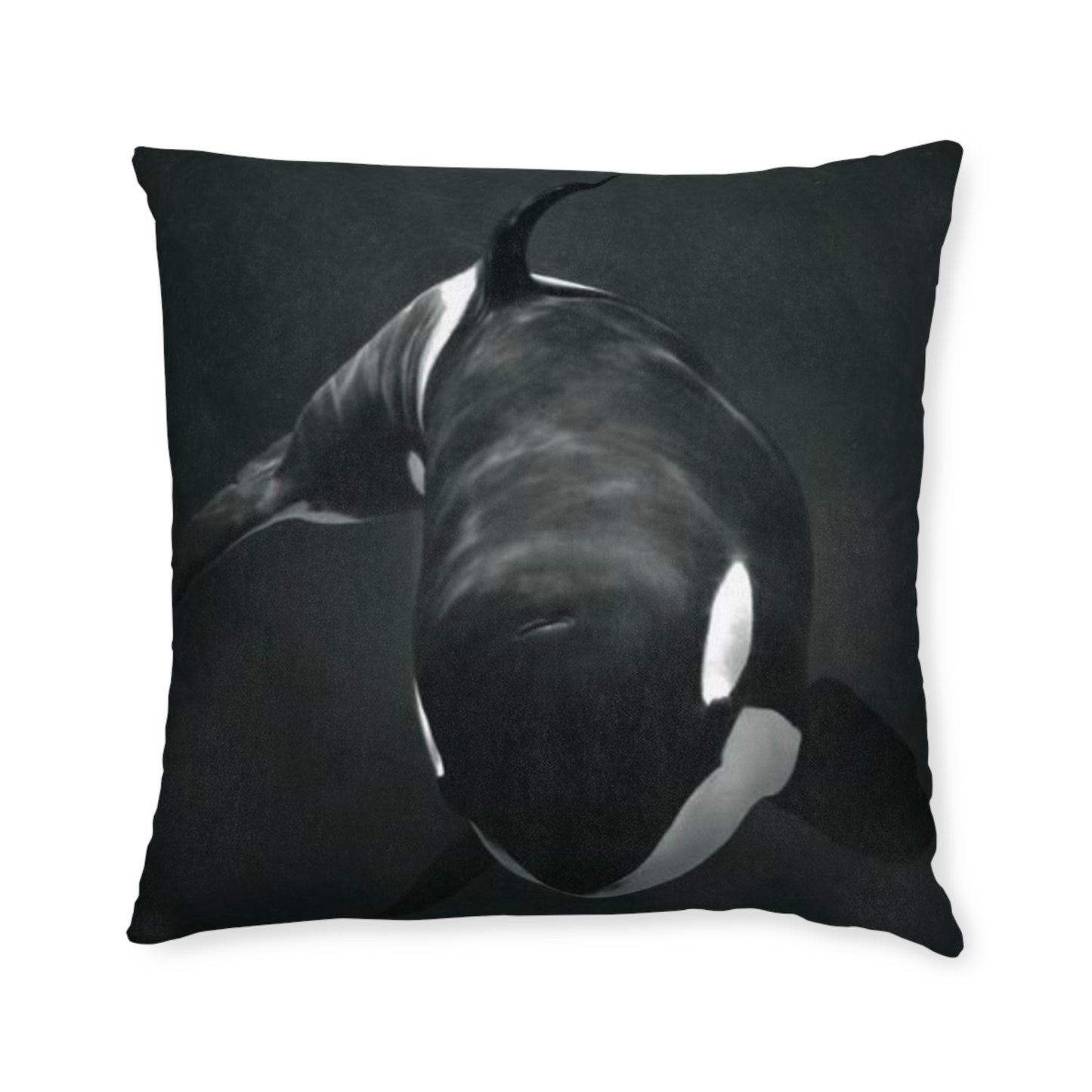 Orca