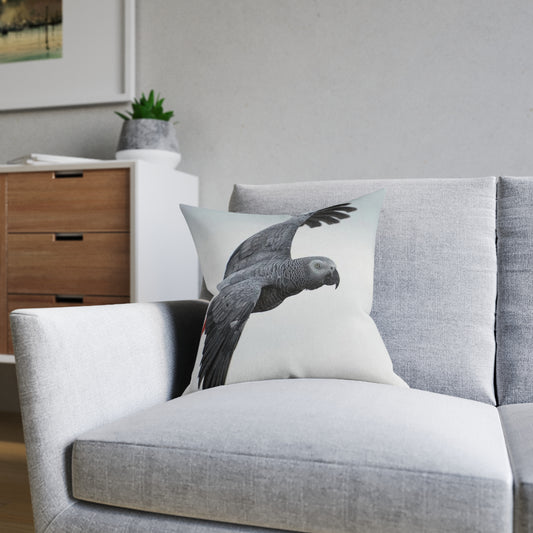 Parrot African Grey