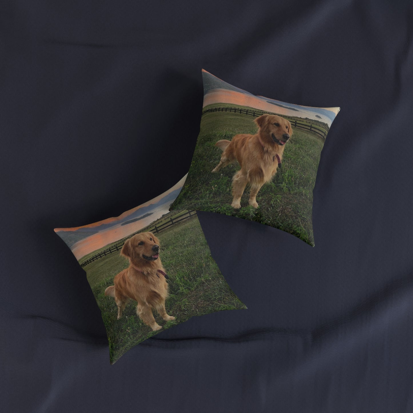 Golden Retriever Dog