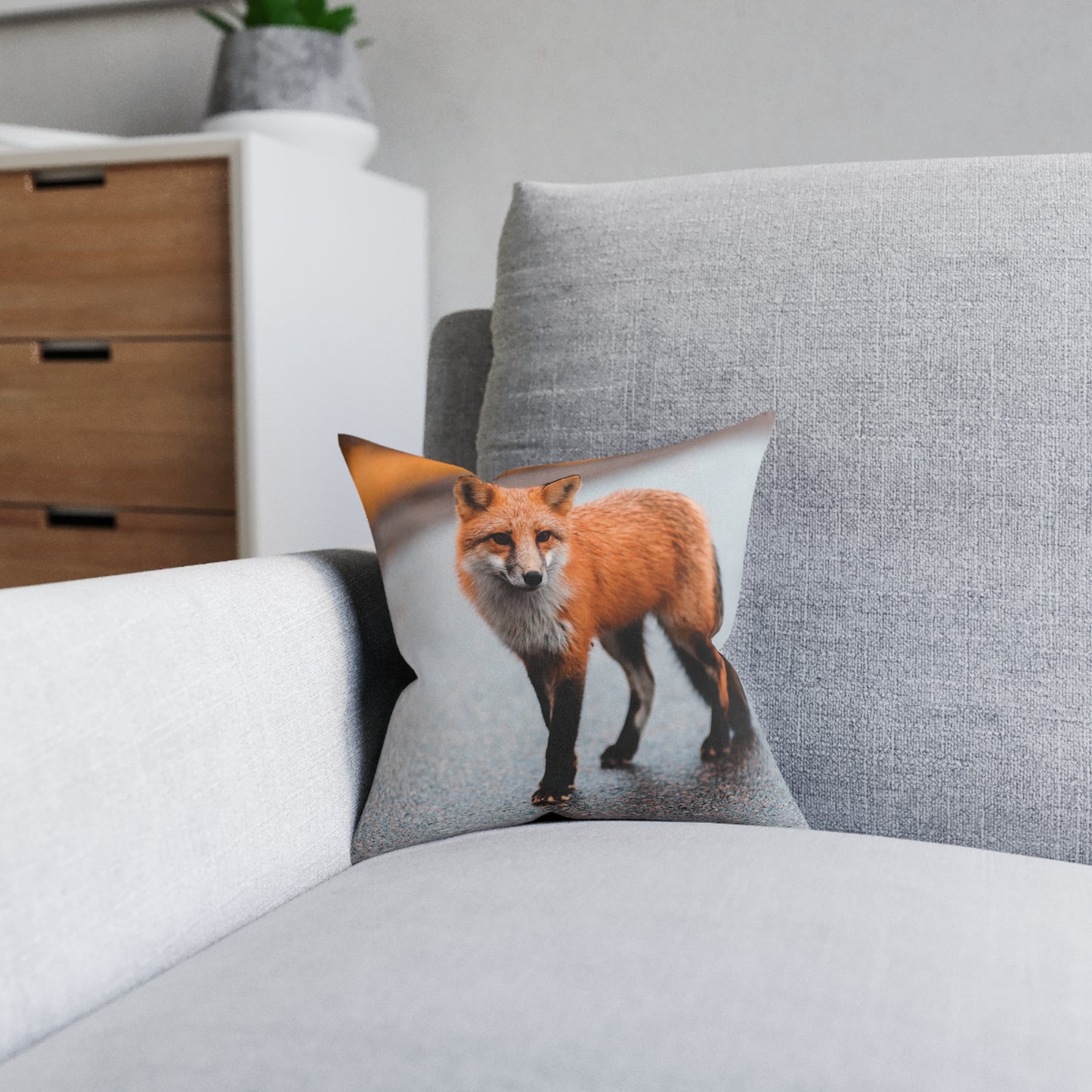 Fox