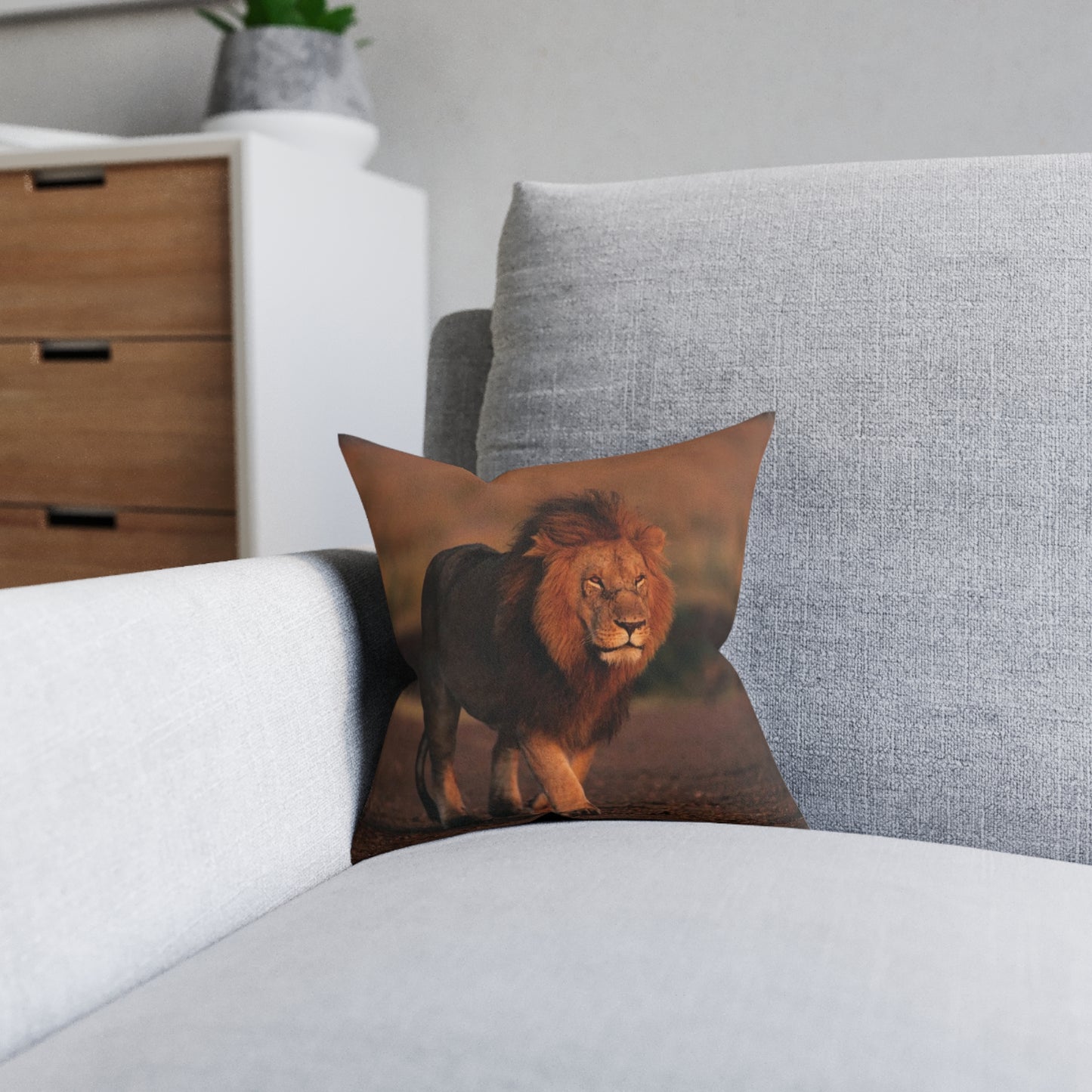 Lion Male