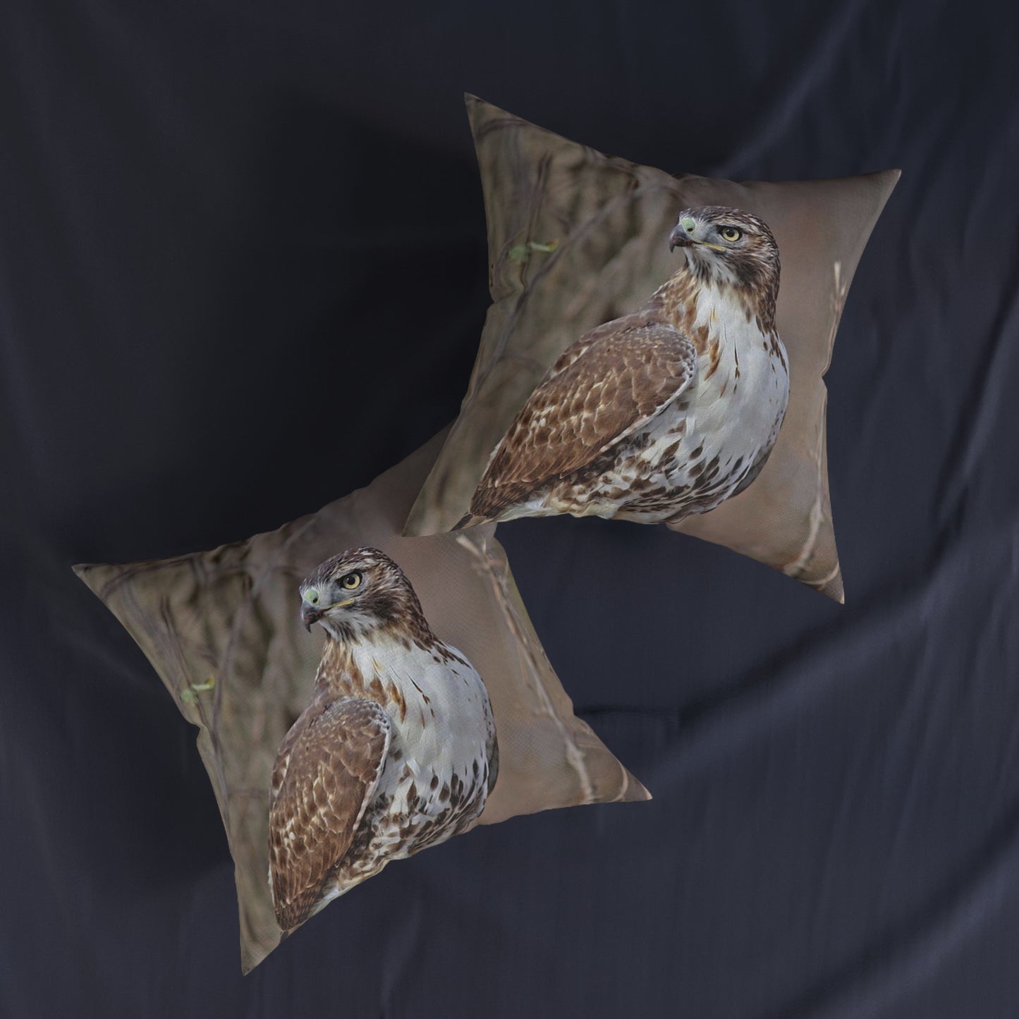 Hawk 2