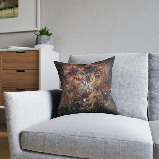 The Tarantula Nebula