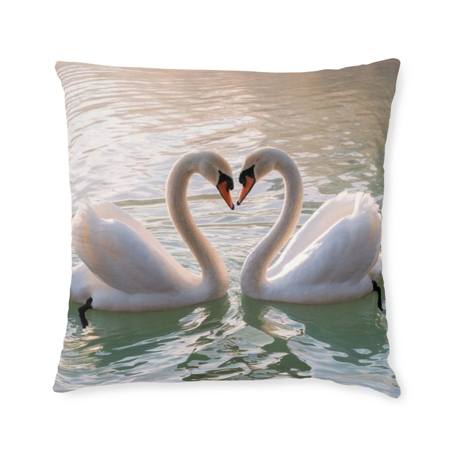 Swan 2