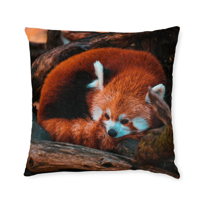 Red Panda