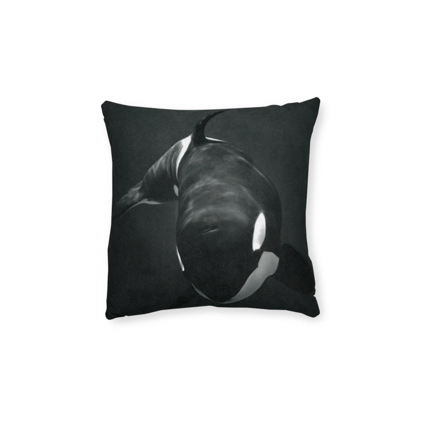 Orca