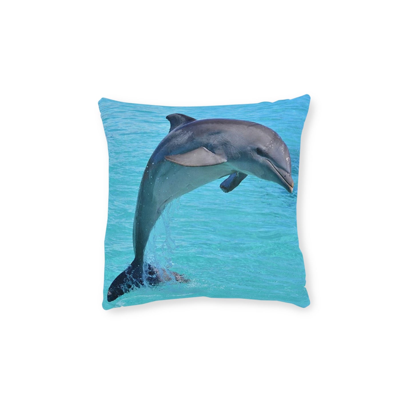 Dolphin