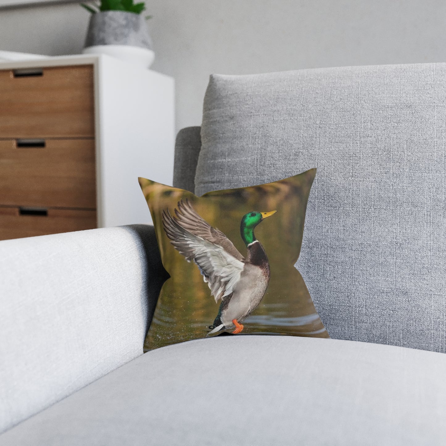 Duck
