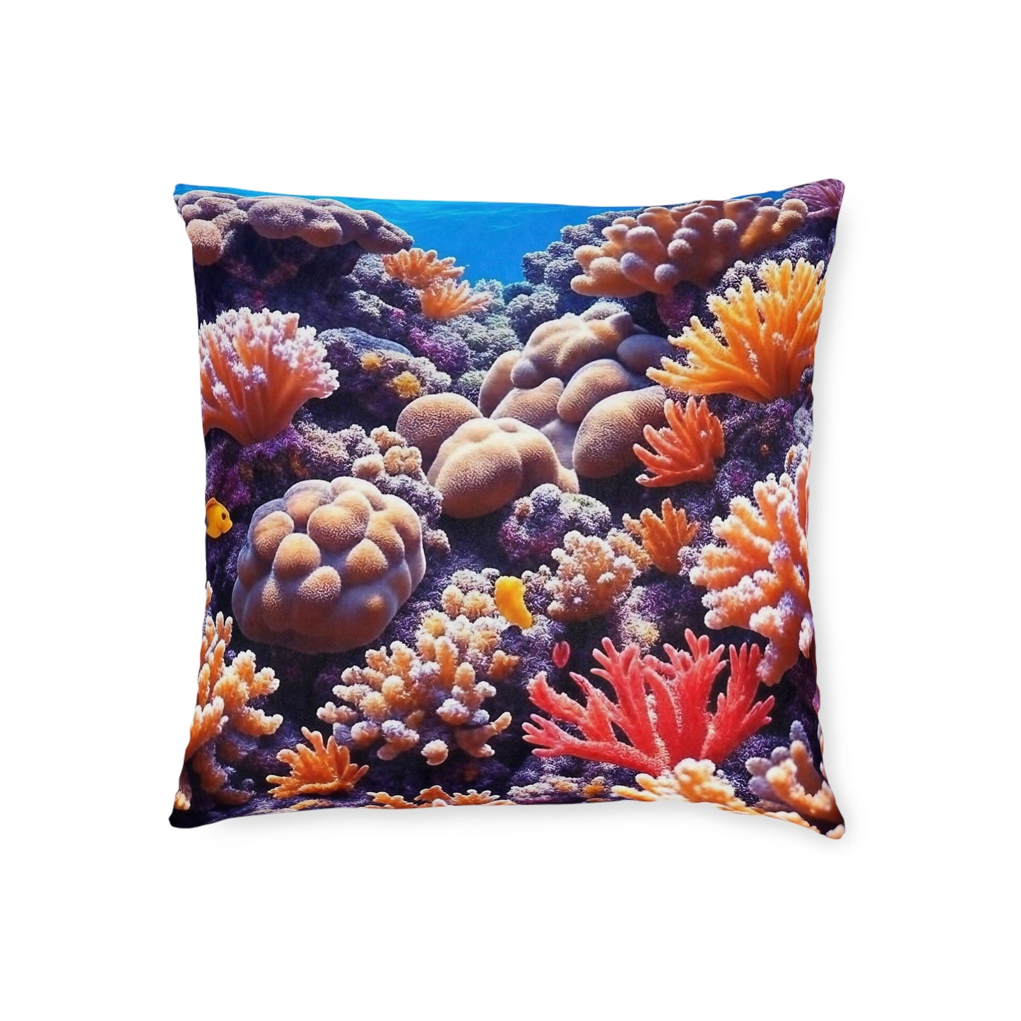 Coral Reef