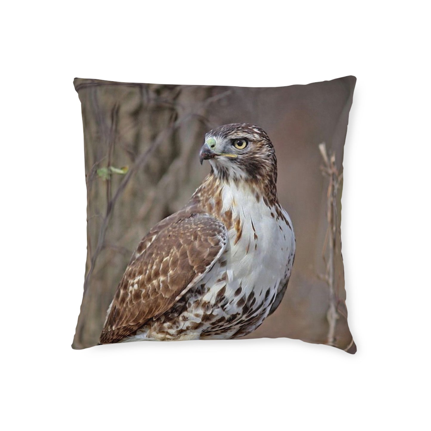 Hawk 2