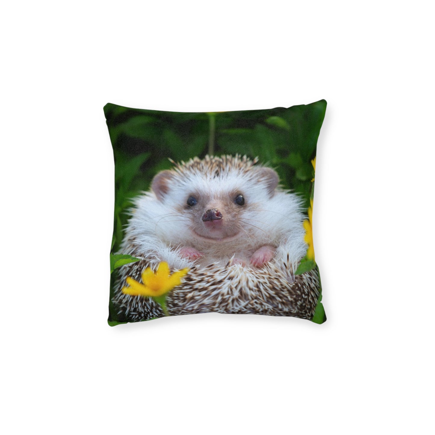 Hedgehog