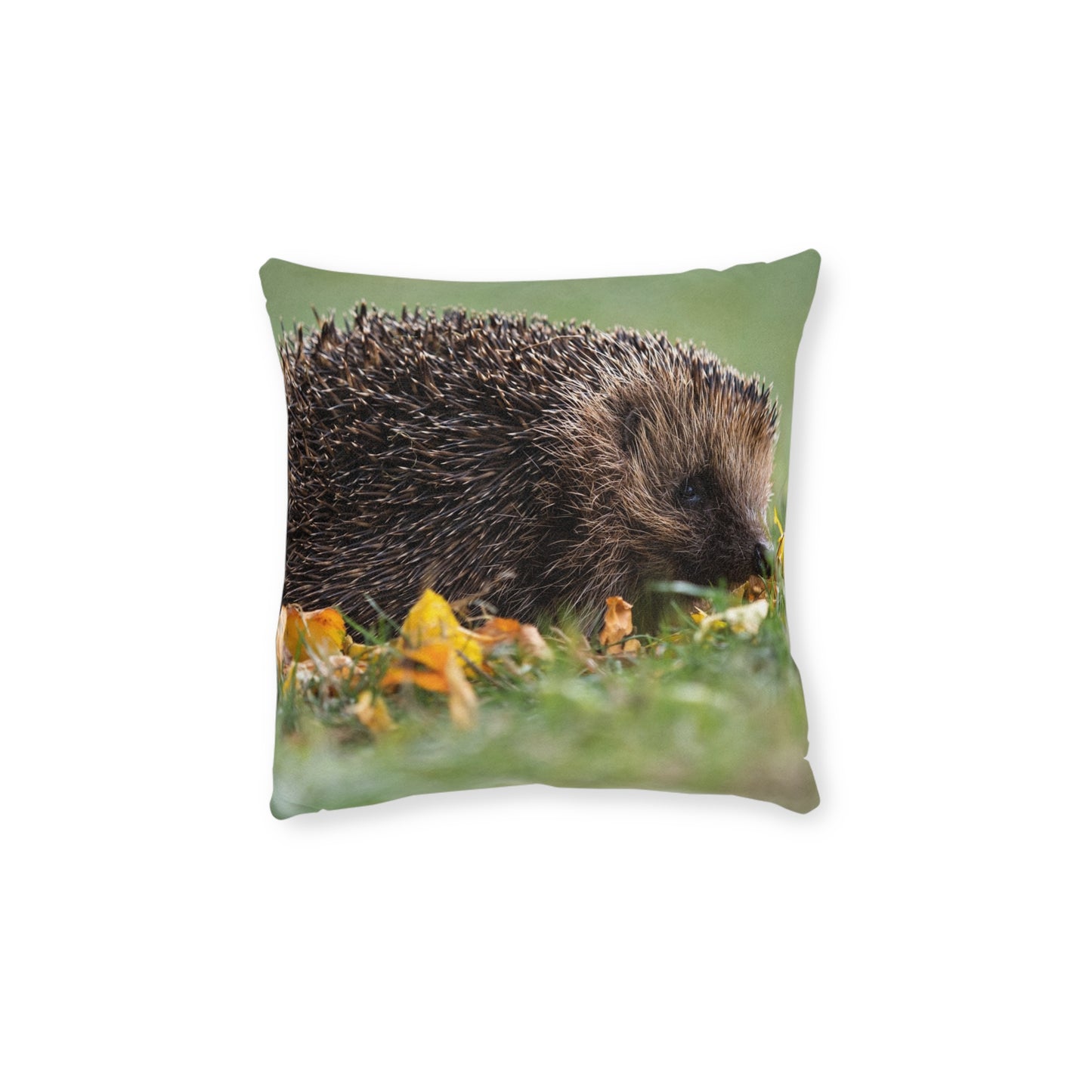 Hedgehog 2