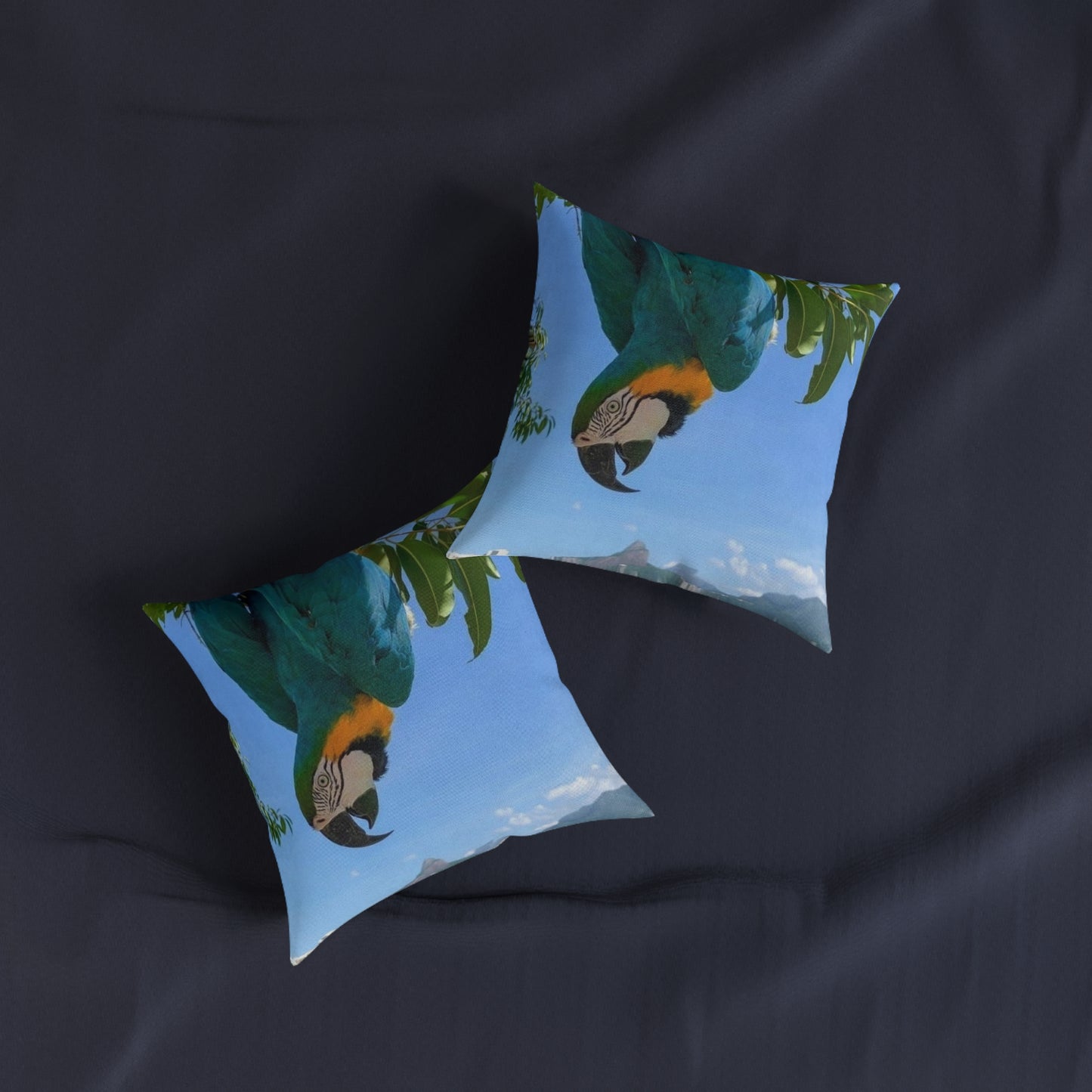 Parrot Blue