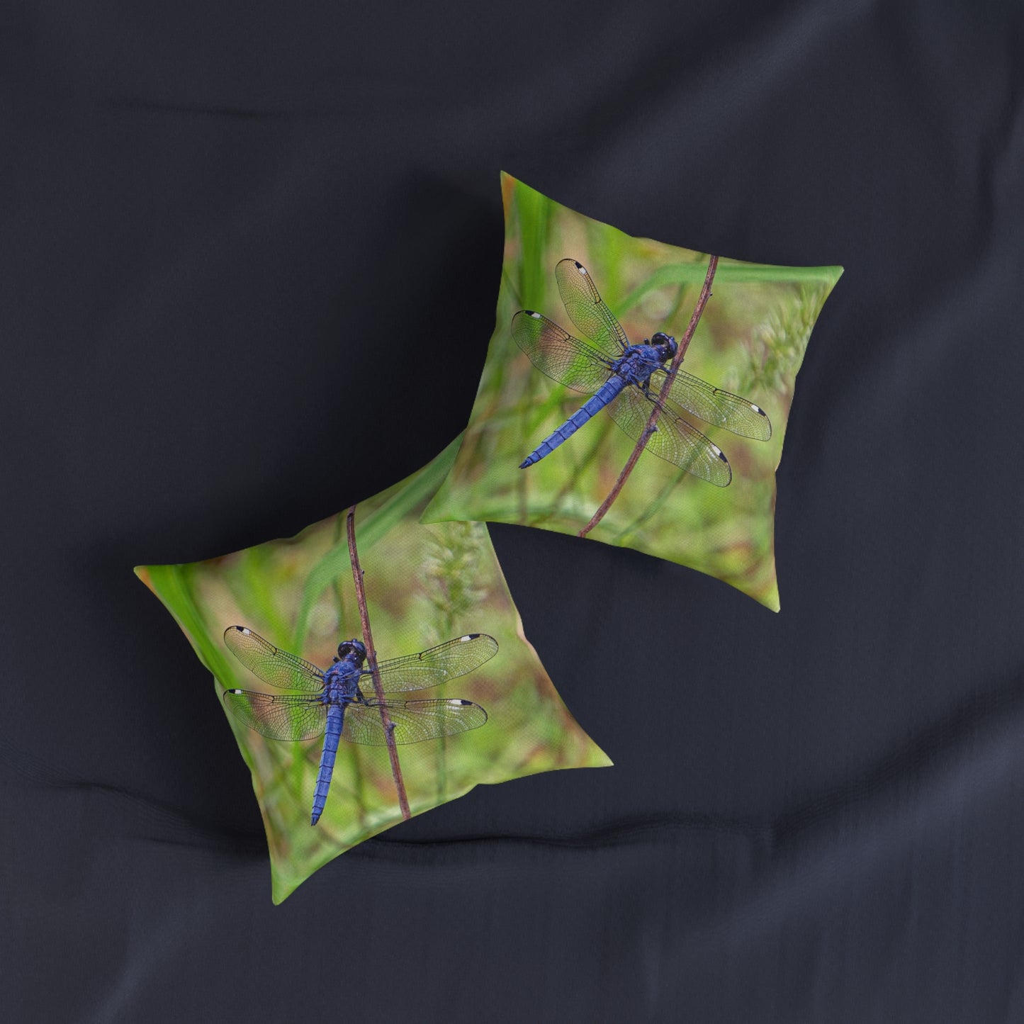 Dragonfly 2